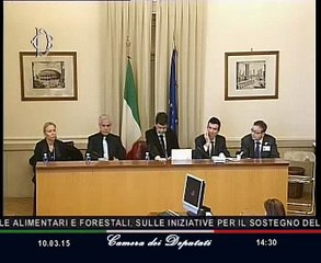 Roma - Settore lattiero-caseario, audizione Ministro Martina (10.03.15)