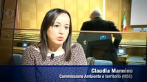 Roma - Trent'anni dal primo condono edilizio che fare? (27.02.15)