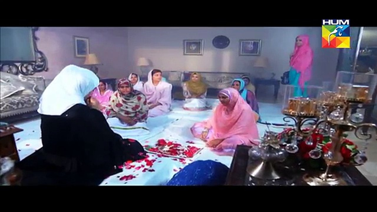 Ek Pal Episode 19 Full on HUM TV