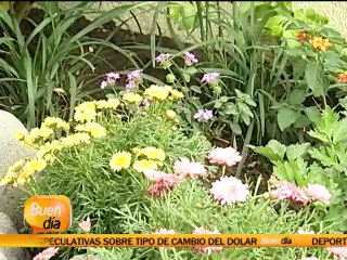 Jardines que ayudan a estimular a los niños