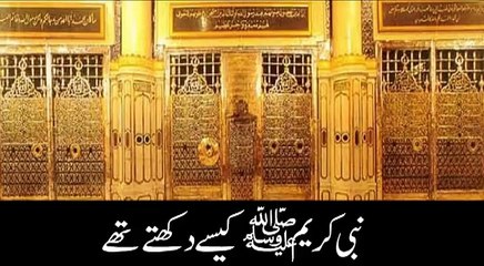 Hazrat Muhammad (S.A.W) kese dikhte thay - Must Watch