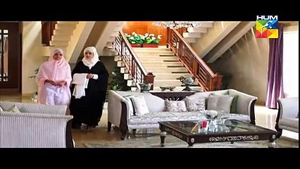 Aik Pal Episode 19 Full 30 March 2015 HUM TV Drama