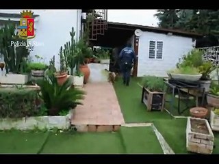 Palese (Bari) - Armi e droga in villa: 53enne in manette (14.03.15)