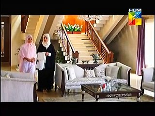 Aik Pal Episode 19 Full on Hum Tv -30 Mar 2015