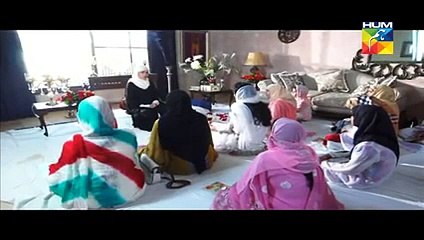 Aik Pal Episode 19 Full 30 March 2015 HUM TV Drama