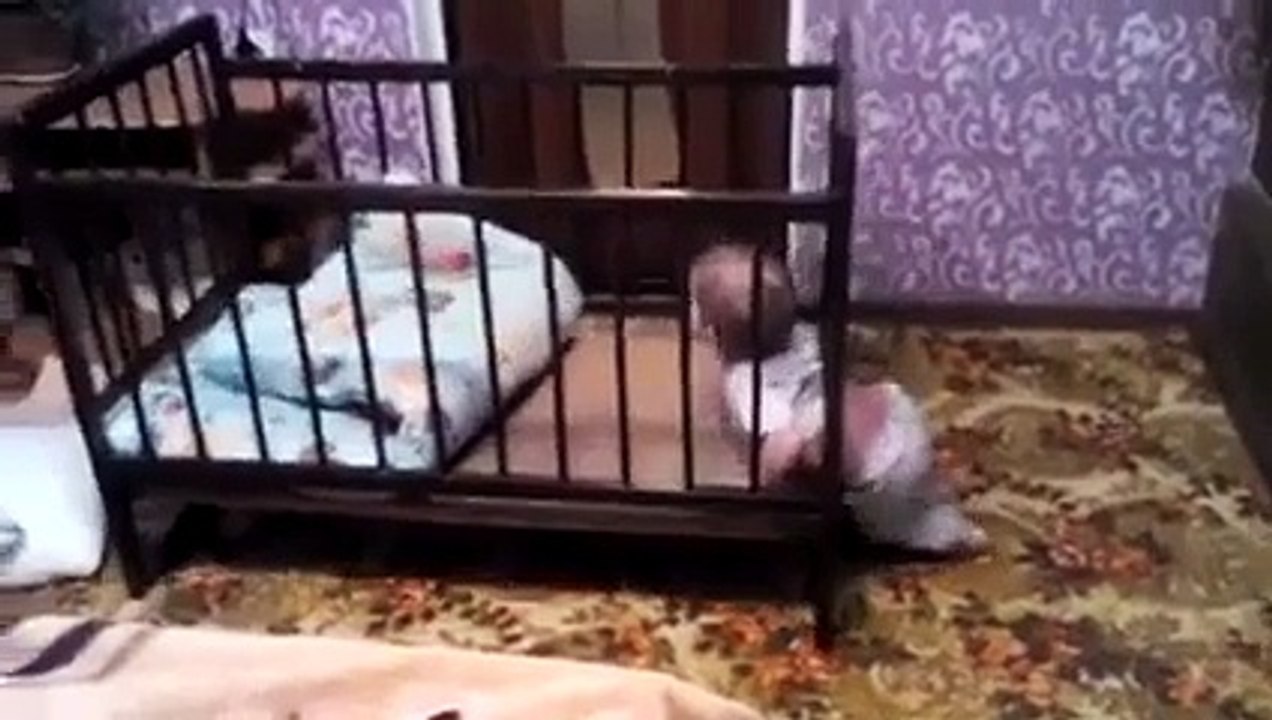 You Will Be Astonished After Watching the Intelligence of This Cute Kid