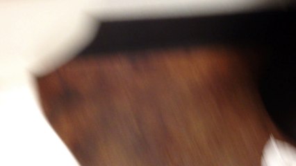 (Spring Break 2015) BTR Short- American Standard Cadet Pressure Assist Toilet