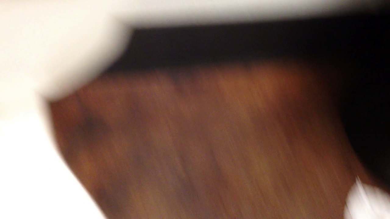 (Spring Break 2015) BTR Short- American Standard Cadet Pressure Assist Toilet