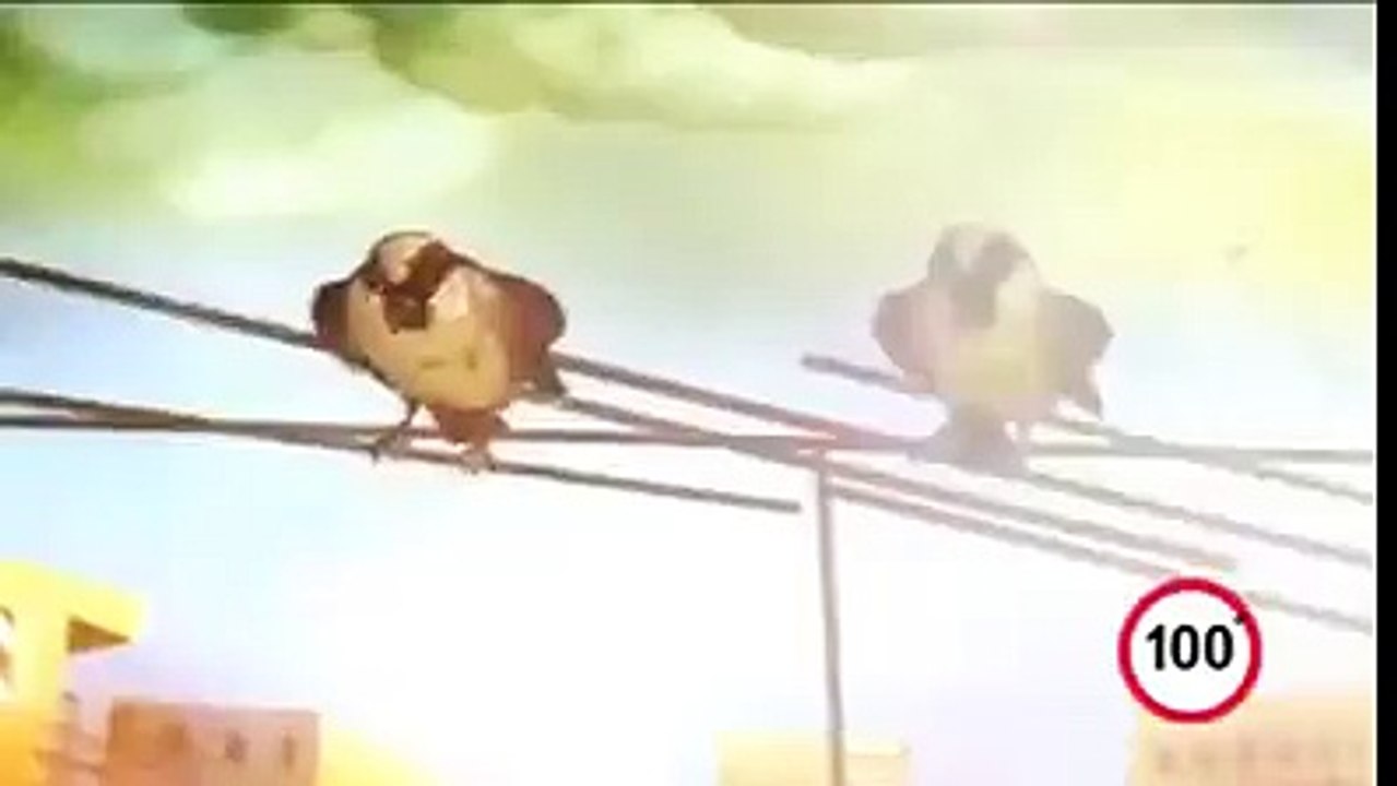 World's Best 100 sec video. Must Watch!