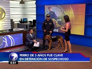 Conozca a Bratt, el oficial que encontró a uno de los hombres más buscados