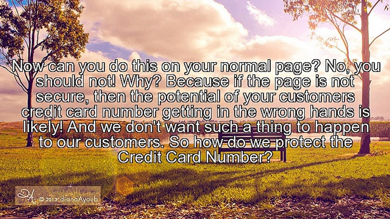 SSL Certificates: The Credit Card Protector