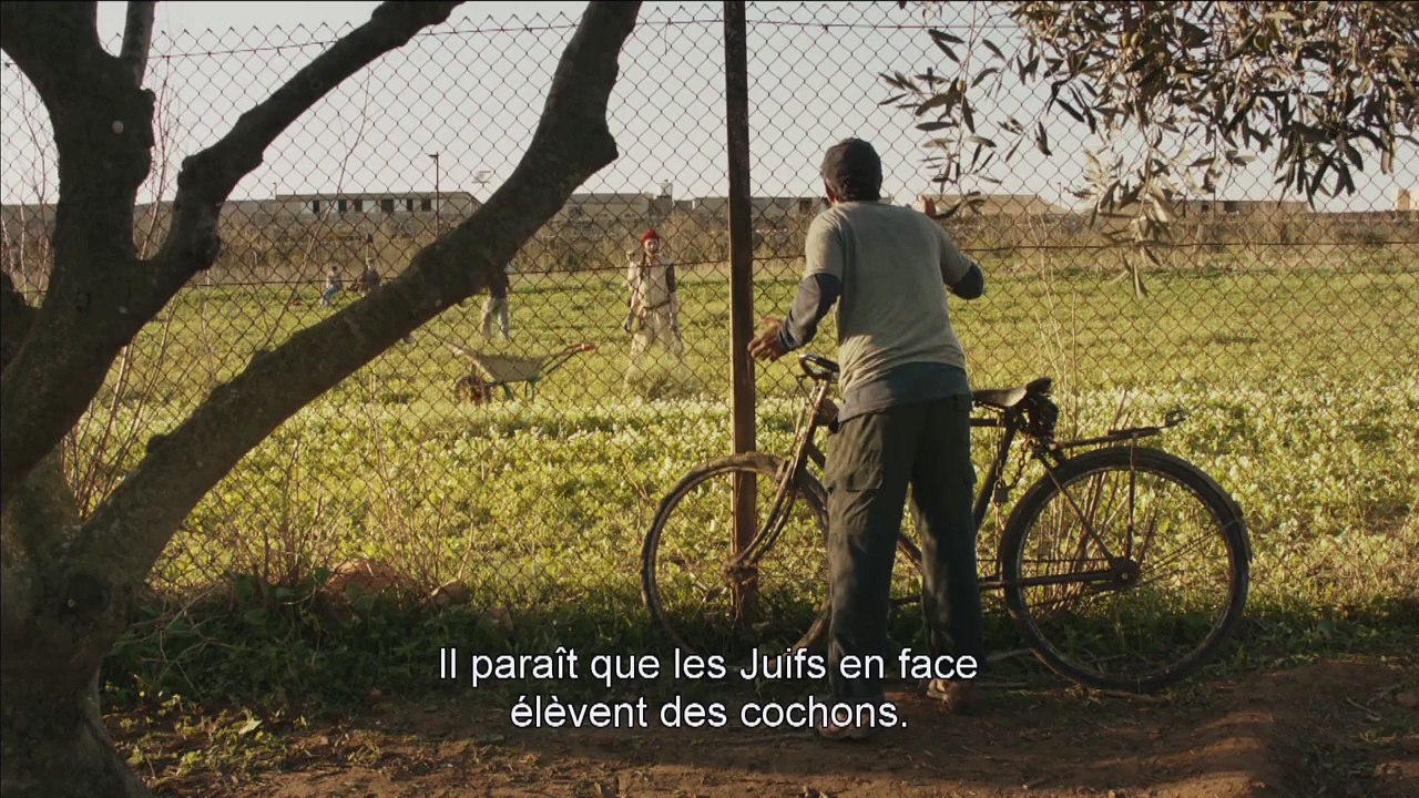 LE COCHON DE GAZA - Bande-annonce