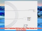 New iPhone 5 Lightning USB Data Cable Wall Charger for iPhone 5 5s 5c iPadMini