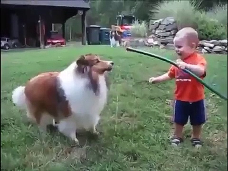 #Baby and Dog play with Hose MP4 Best Funny Video