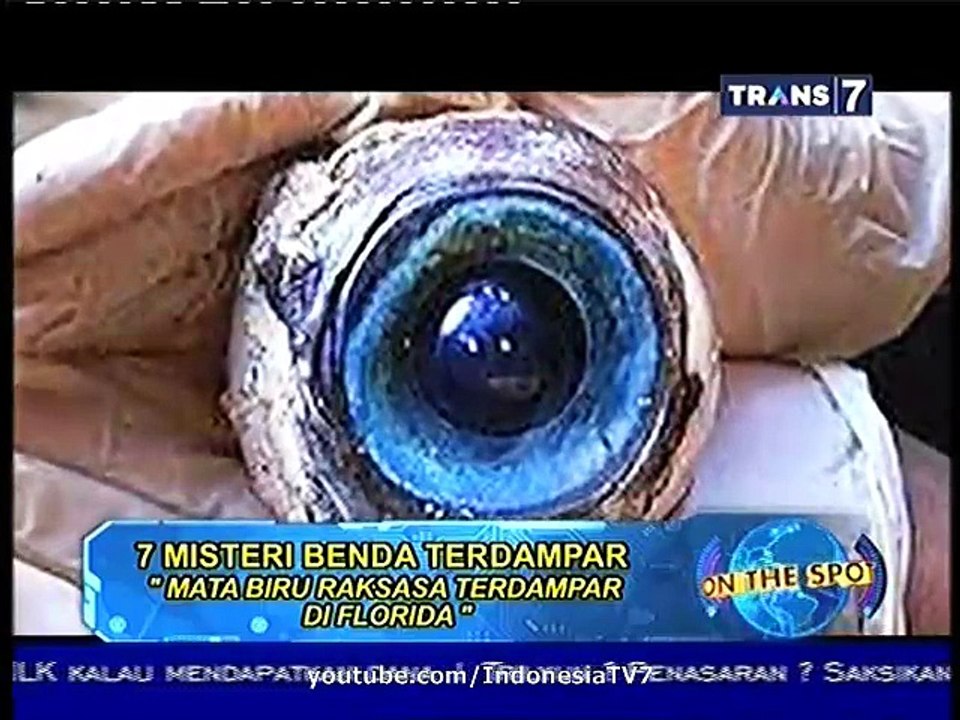 On The Spot 7 Misteri Benda Terdampar 30 Maret 2015