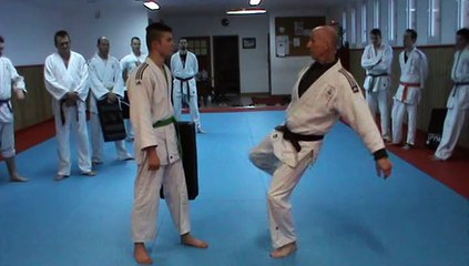 Jujitsu Rollin Philippe