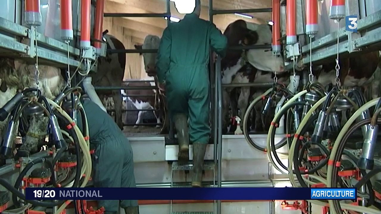 Au 1er avril, il n'y aura plus de quotas laitiers