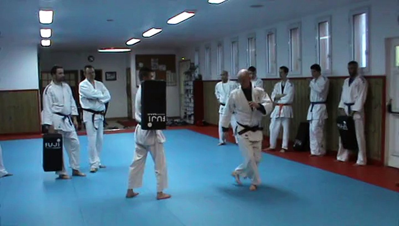 Jujitsu Rollin Philippe