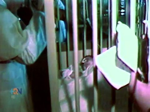 Hace 31 años Juan Pablo II cambió la vida de un pequeño internado en Hospital de Niños