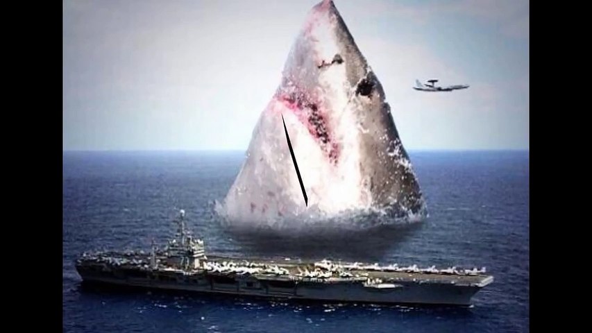 megalodon sightings 2022 real