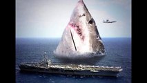 MEGALODON SHARK EXISTS! Recent sightings & sharks pictures prove it.