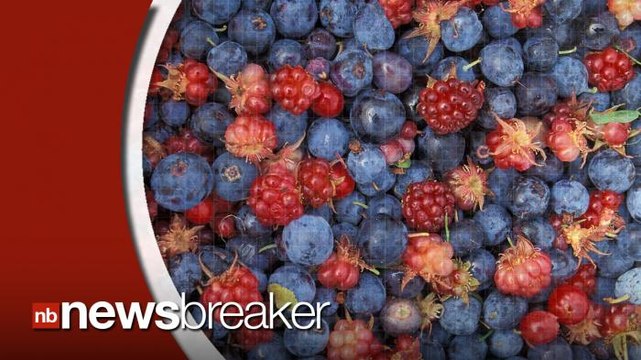 Study Finds that New Mediterranean-style 'MIND' Diet Can Lower Risk of Alzheimer's Disease