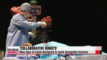 Robots working alongside humans raise expectations of increased productivity