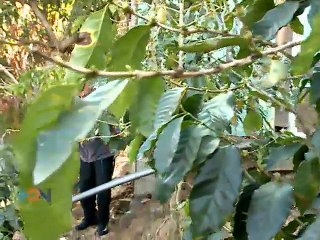 Con 84 años don Francisco no pierde la ilusión de convertirse en bachiller