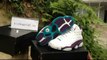 Nike Air Jordan 13 Hornets PE AAA Review shoes-clothes-china.cn