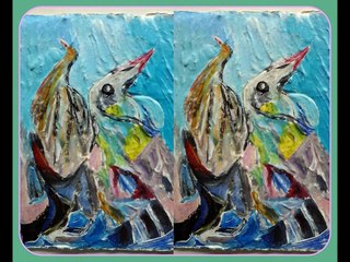 la LOIRE ce bois flotté et sa nature