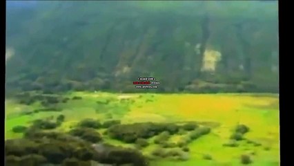 'ufo i migliori avvistamenti'