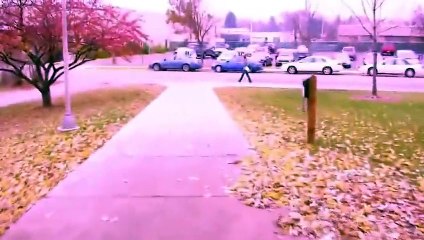 POV_ Guy Walking to Class