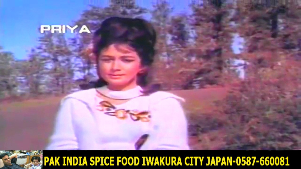 Wadiyan Mera Daman-Lata Mangeshkar +HD スパイスハラルフード　岩倉市ジャパンjapan halal food spice