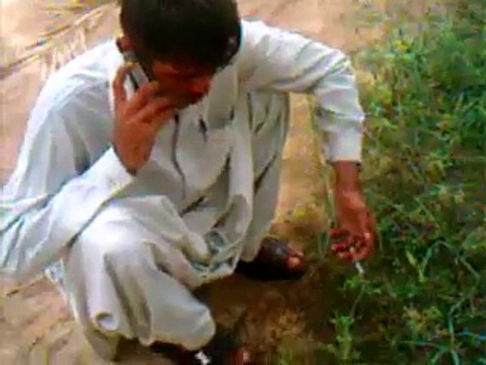 Funny Saraike