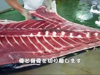 Best Tuna Sushi Ever.  Perfect marble - Sushi Chef's amazing skills