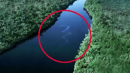 Dünyanın En Büyük Yılanı