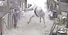 OMG!!! Woman getting kicked by horse