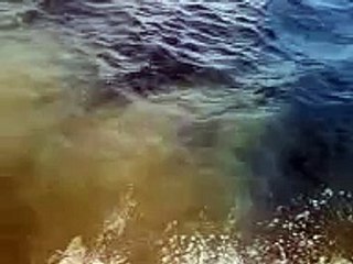 LA MUERTE  DEL RIO CARONI EN EL ORINOCO - IMPRESIONANTE.