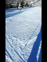 Skiing past a mountain lion at a Utah resort - YouTube