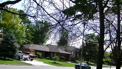 BALD-FACED HORNET NEST!!! Do NOT mess with these guys!!!