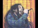 Bob Marley   The Wailers  Zion Train HD  Dortmund 80 !!