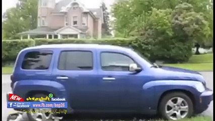 تہلکہ ویڈیو جاری!  ہرن نے کتے کو مار ڈالا!