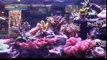 P&P Tropical Fish - Beautiful Salt Water Fish Tank Marine Aquarium with Live Rock