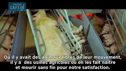 Quelques minutes pour remettre toute votre vie en question...