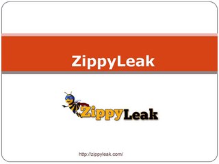 Water Leak Detection | 800-699-8127 | ZippyLeak