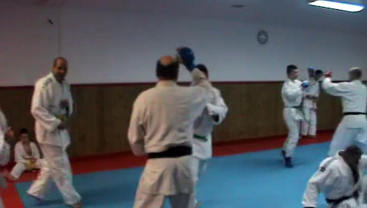Jujitsu Rollin Philippe.