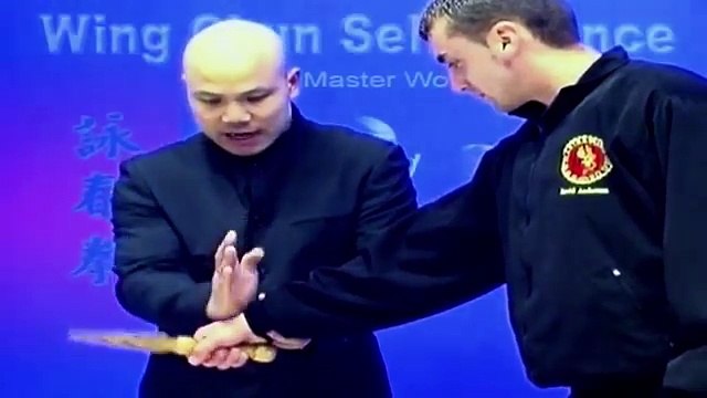 -Wing Chun kung fu - Self defence - Fight