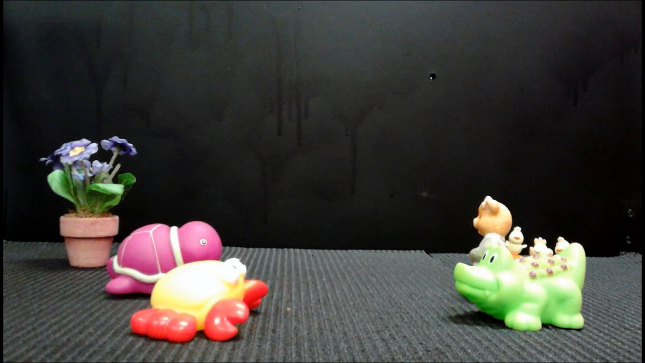 Stop-motions Angles sur Anglin 9-03-15