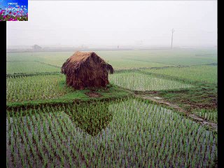 ASILE E BHANGA GHARE MANABENDRA MUKHAOPADHYAY