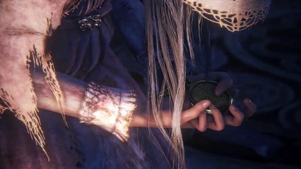 Bloodborne Boss cooperation Vicaire Amelia